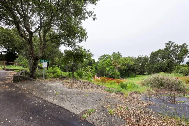 a view of a dirt road with a trees