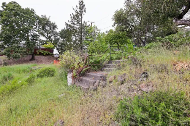 a backyard of a house with lots of green space and bushes