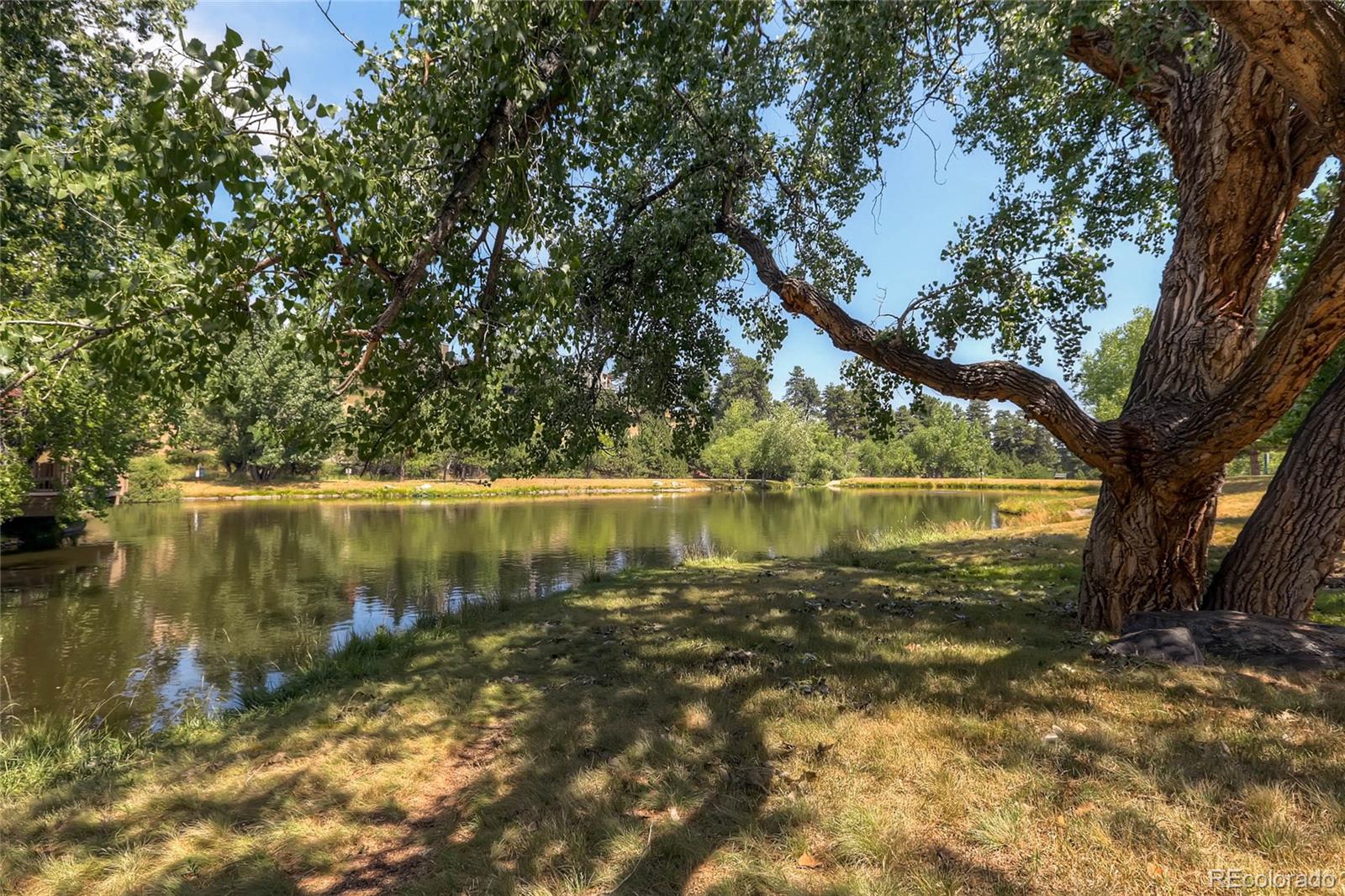 23587 Genesee Village Road, Unit F Golden, CO 80401 - Photo 23 of 23 Gallery Image 23