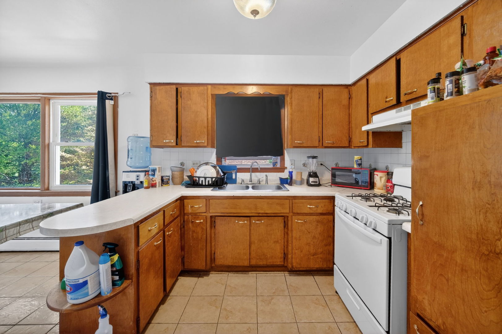 227 Hale Street Addison, IL 60101 - Photo 19 of 43