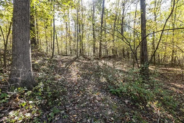 a view of a yard with a trees