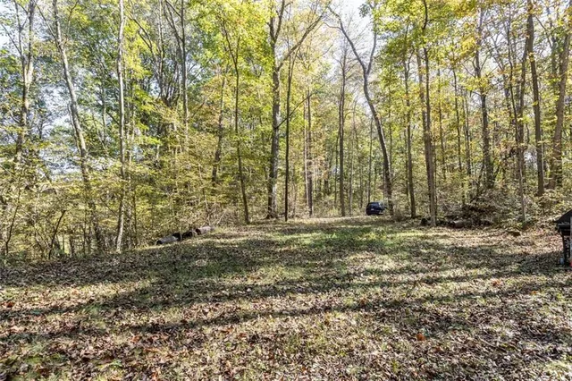a view of a yard with a tree