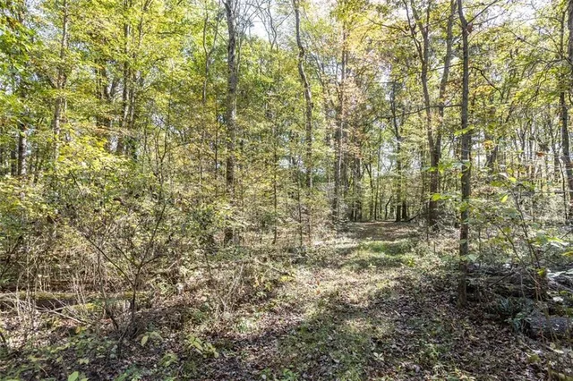 a view of outdoor space and a yard