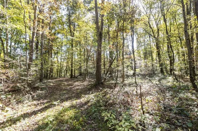 a view of outdoor space and yard