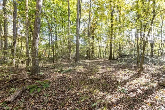 a view of covered with green space