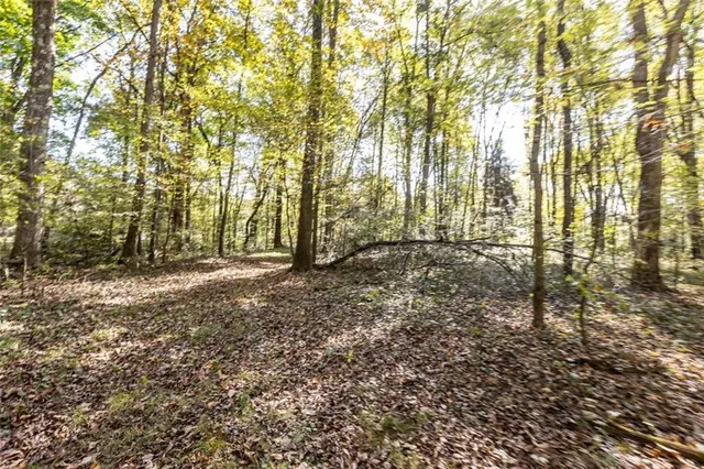 a view of a forest with a park