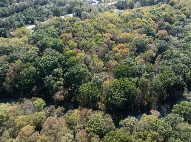 a view of a forest with a houses