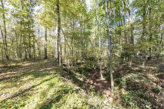 a view of backyard with green space