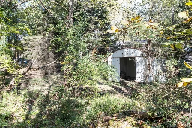 a view of a yard with plants and trees