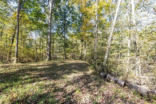 a view of outdoor space and garden