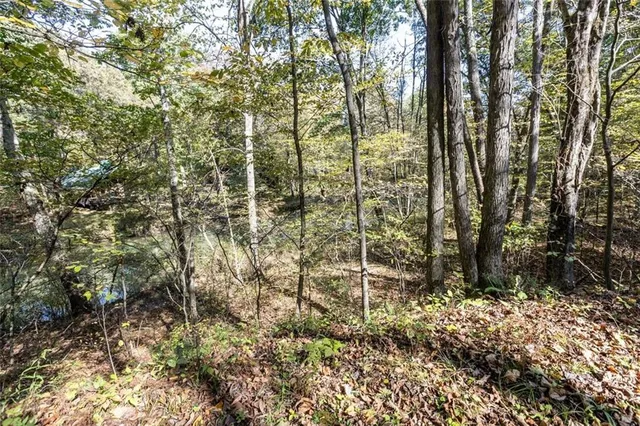 a view of outdoor space and yard