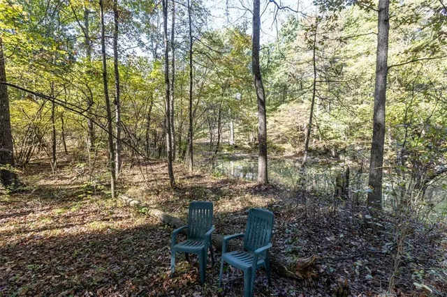 a view of a yard with a tree
