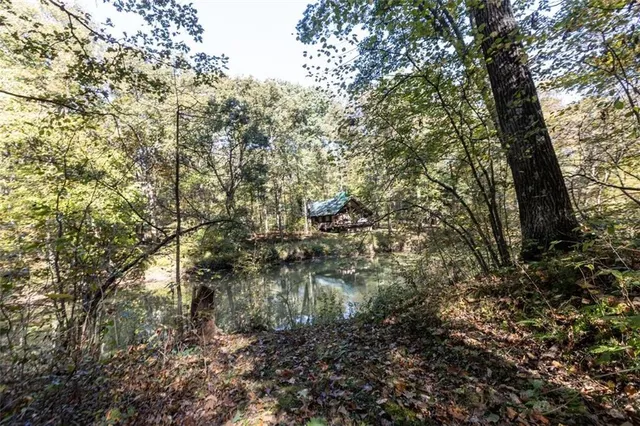 a view of a lake with lots of trees