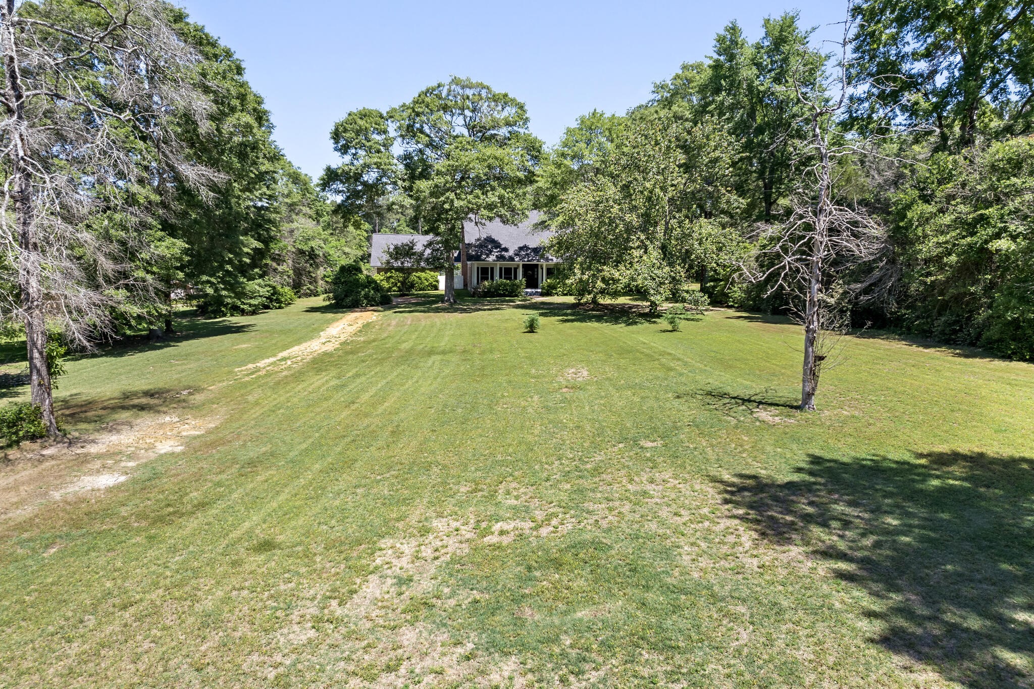 3084 Highway 63 Jasper, TX 75951 - Photo 39 of 44 a view of a field with large trees