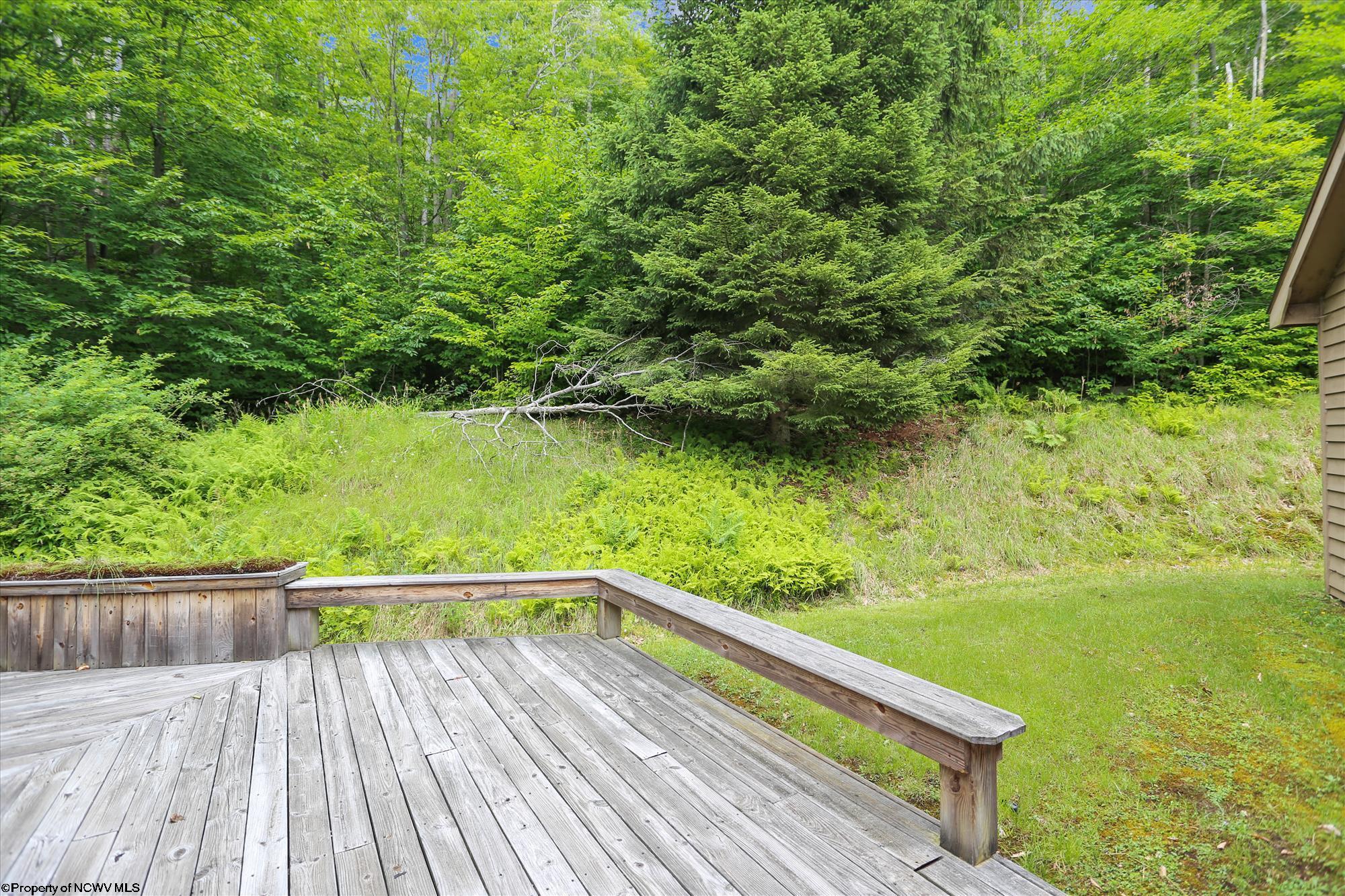 1358 Sand Run Road Davis, WV 26260 - Photo 26 of 29 Gallery Image 26