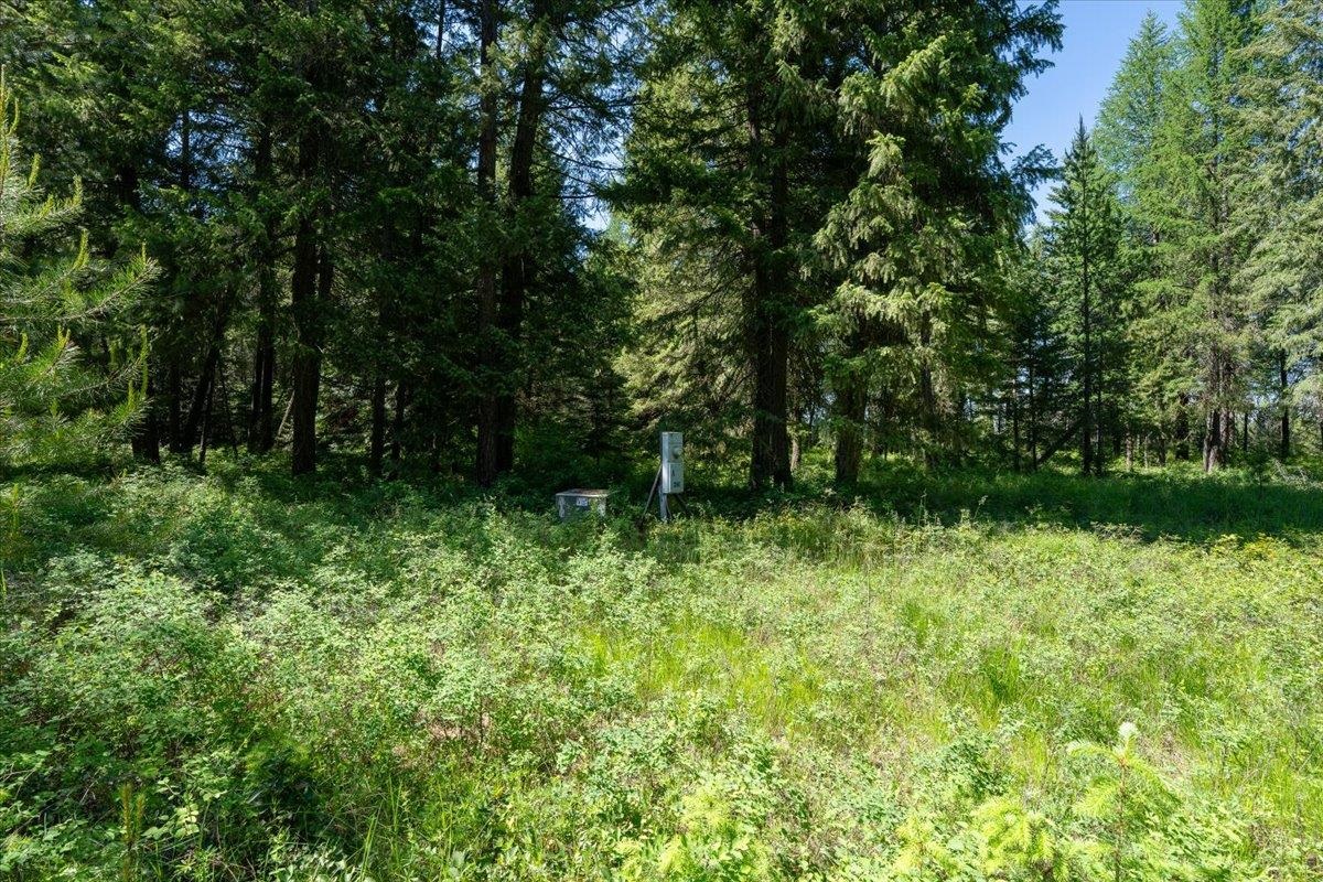 4668 Williams Valley Road Clayton, WA 99110 - Photo 30 of 44