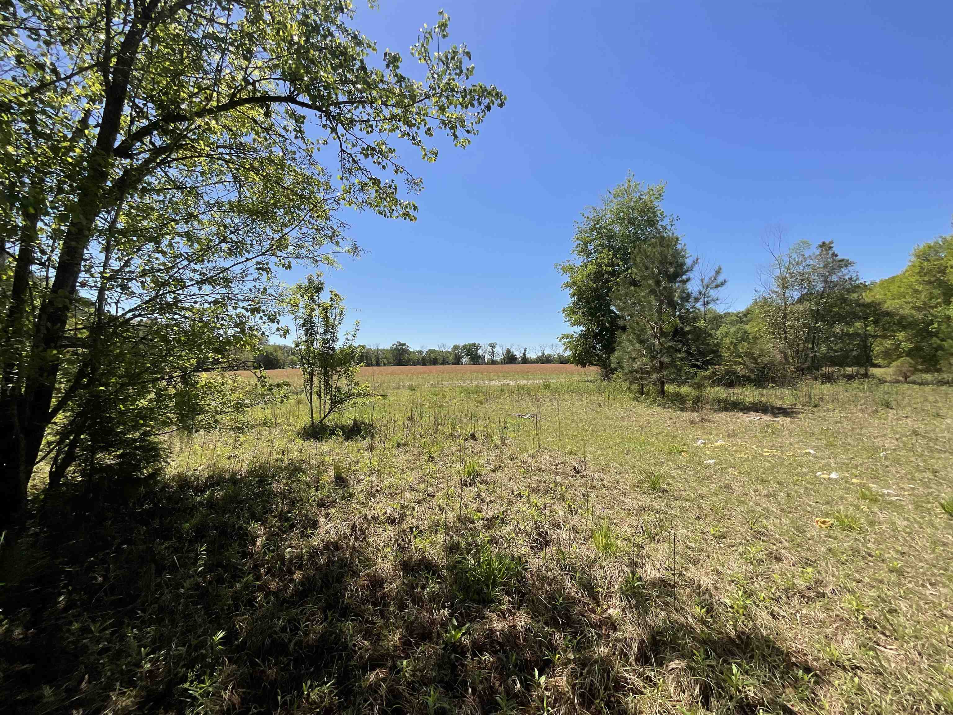 1975 Rook Road Ochlocknee, GA 31773 - Photo 34 of 42