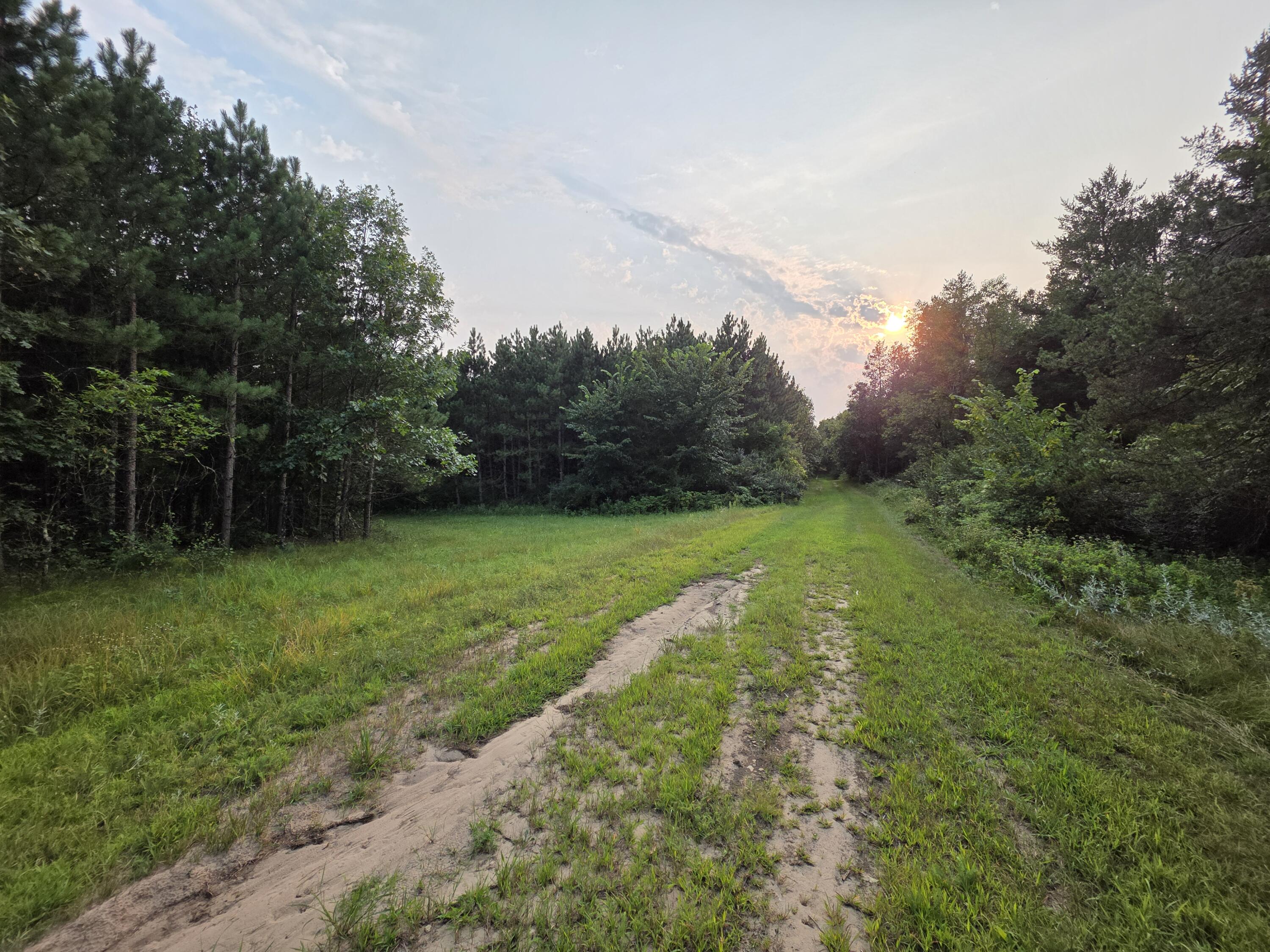 0 Cambridge Road Sparta, WI 54656 - Photo 13 of 63 20260810_184826