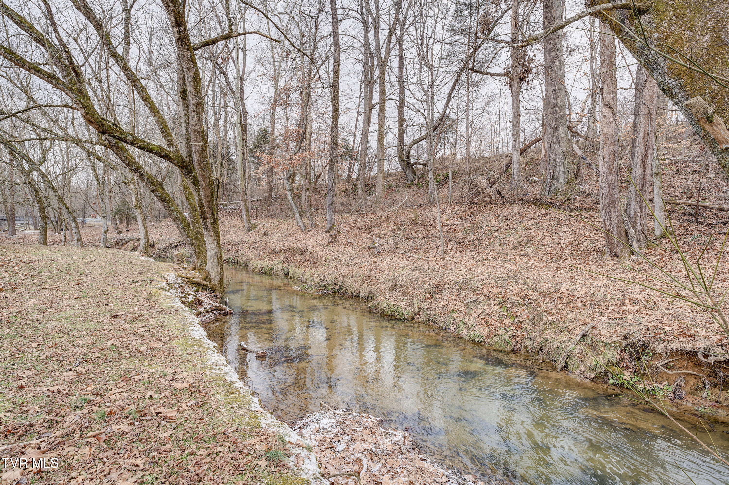 562 Fall Creek Road Blountville, TN 37617 - Photo 54 of 64 FallCreek--53