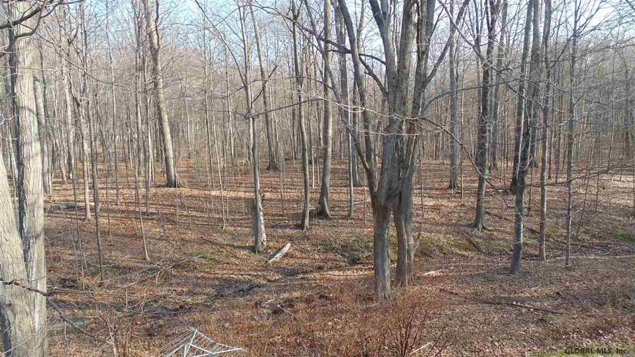 89 Vischer Ferry Road Rexford, NY 12148 - Photo 31 of 32 Photo 31