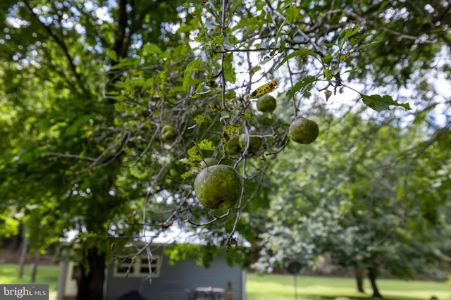 $549,900 | 2903 Dry Run Road, Luray, VA 22835