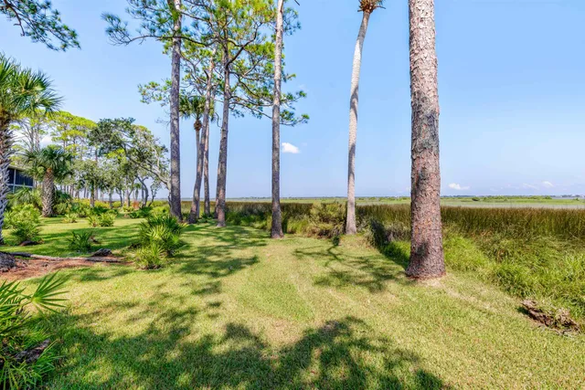 a view of a garden with a tree