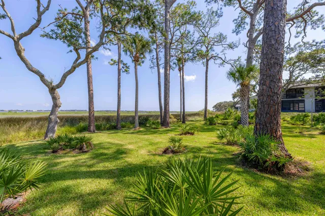 a view of a garden with a tree