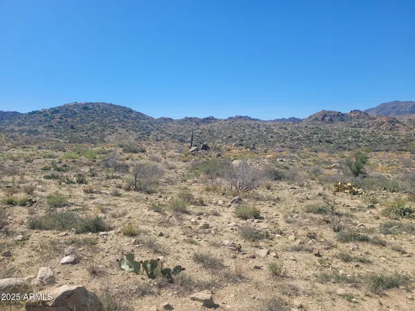 a view of a dry yard with mountains in the background