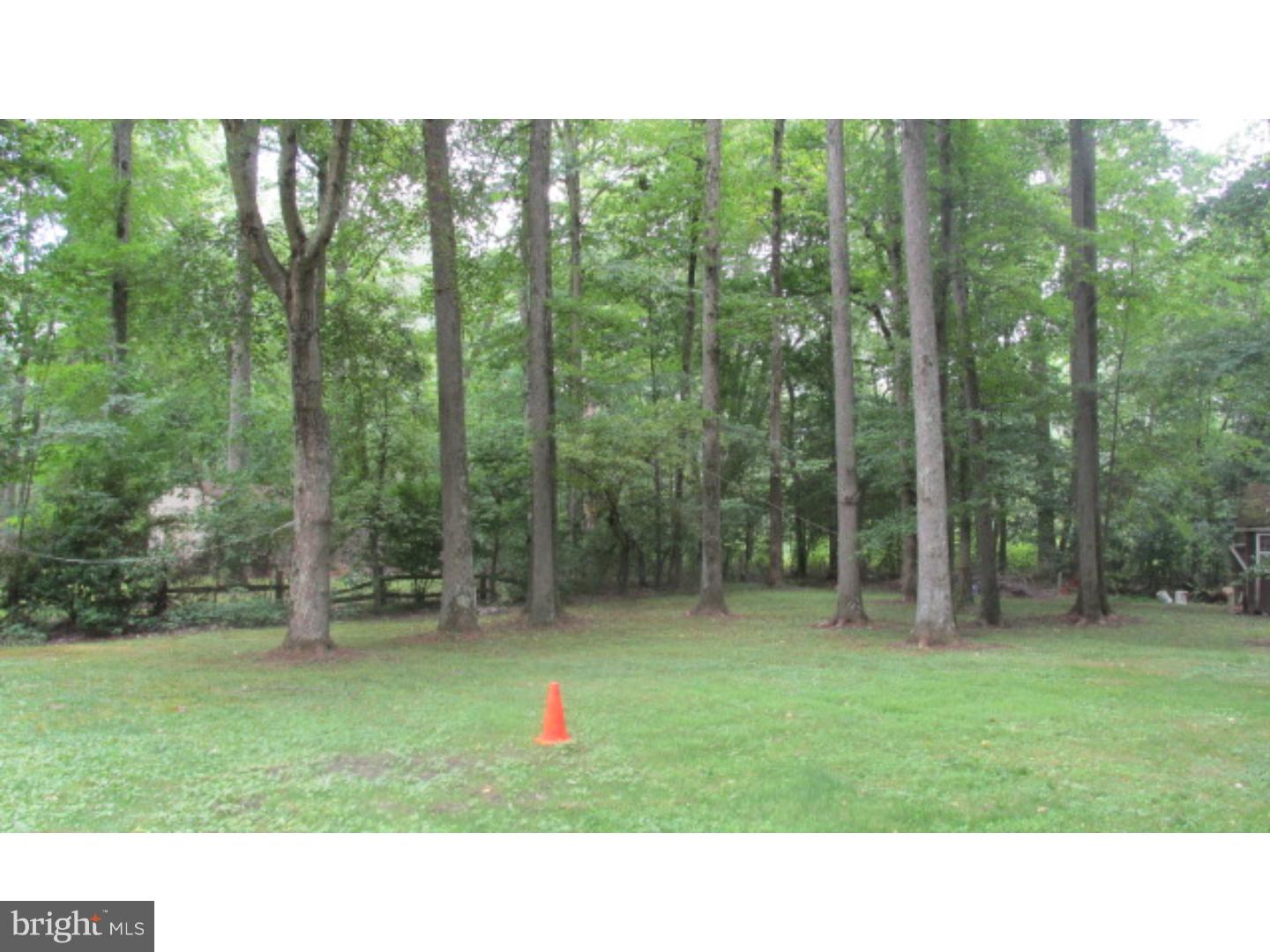 33 Old Red Lion Road Southampton, NJ 08088 - Photo 5 of 8 Back Yard