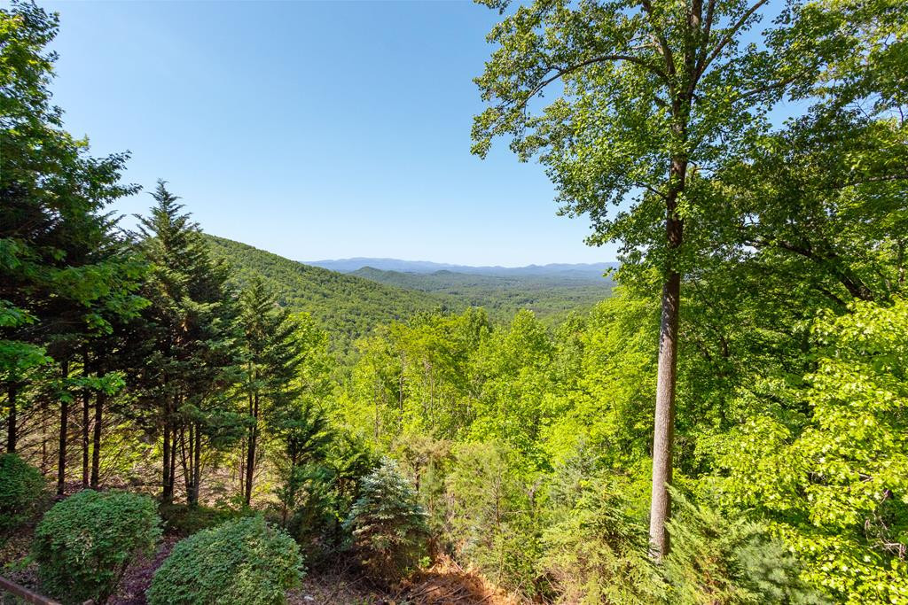 124 U Drive Road Murphy, NC 28906 - Photo 22 of 49