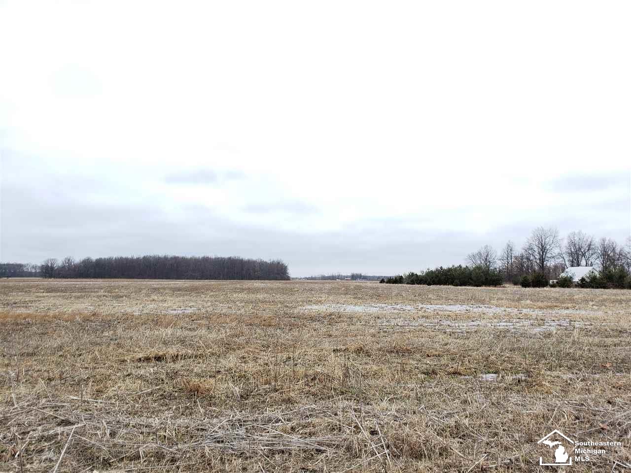 138 Rauch Road Temperance, MI 48182 - Photo 27 of 31