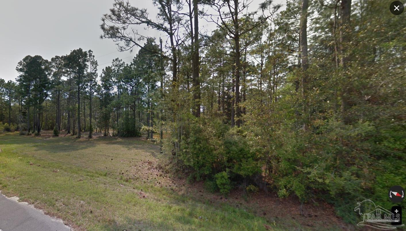 331 Freeport Freeport, FL 32439 - Photo 4 of 6