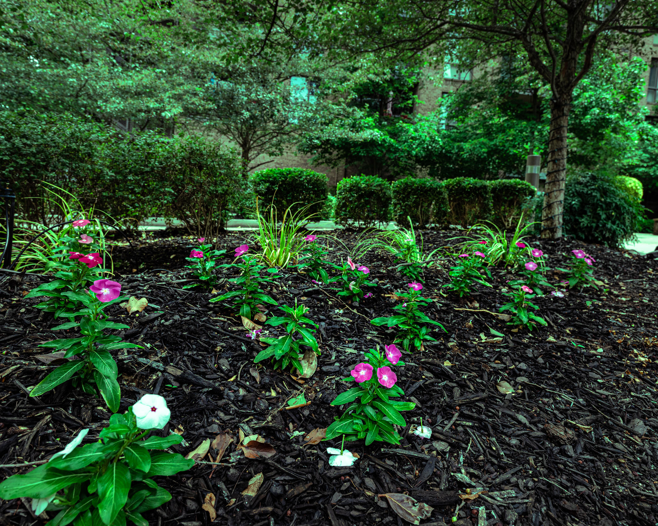 200 Manufacturers Road, Unit 210 Chattanooga, TN 37405 - Photo 23 of 24 Beautiful Landscaping