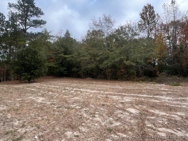 351 Page Road Godwin, NC 28344 - Photo 19 of 19 a view of outdoor space with mountain view
