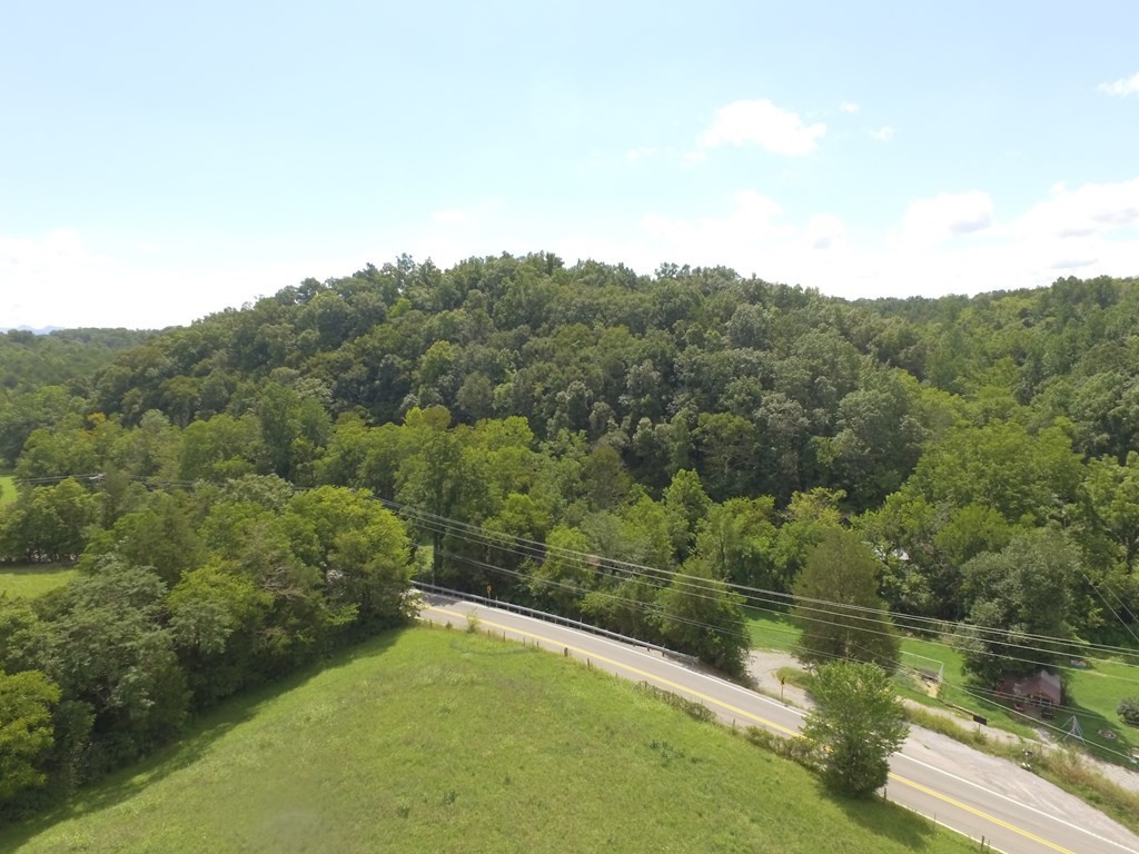 1549 Douglas Dam Road Sevierville, TN 37876 - Photo 18 of 30