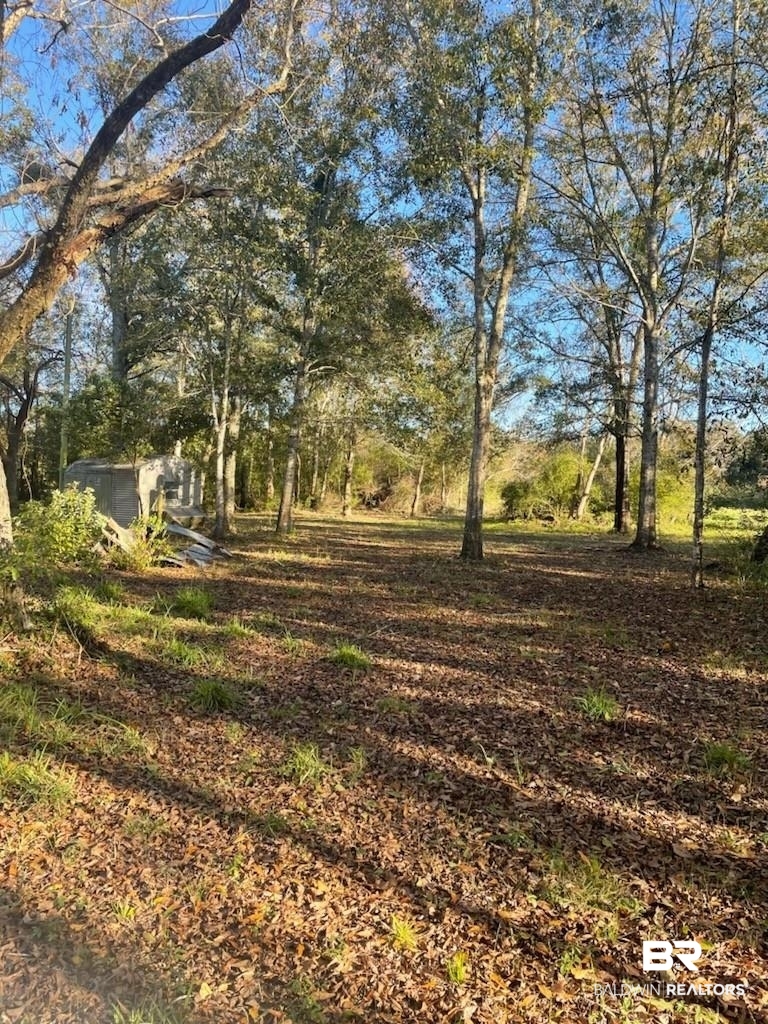 10501 Tillman Lane Foley, AL 36535 - Photo 2 of 9
