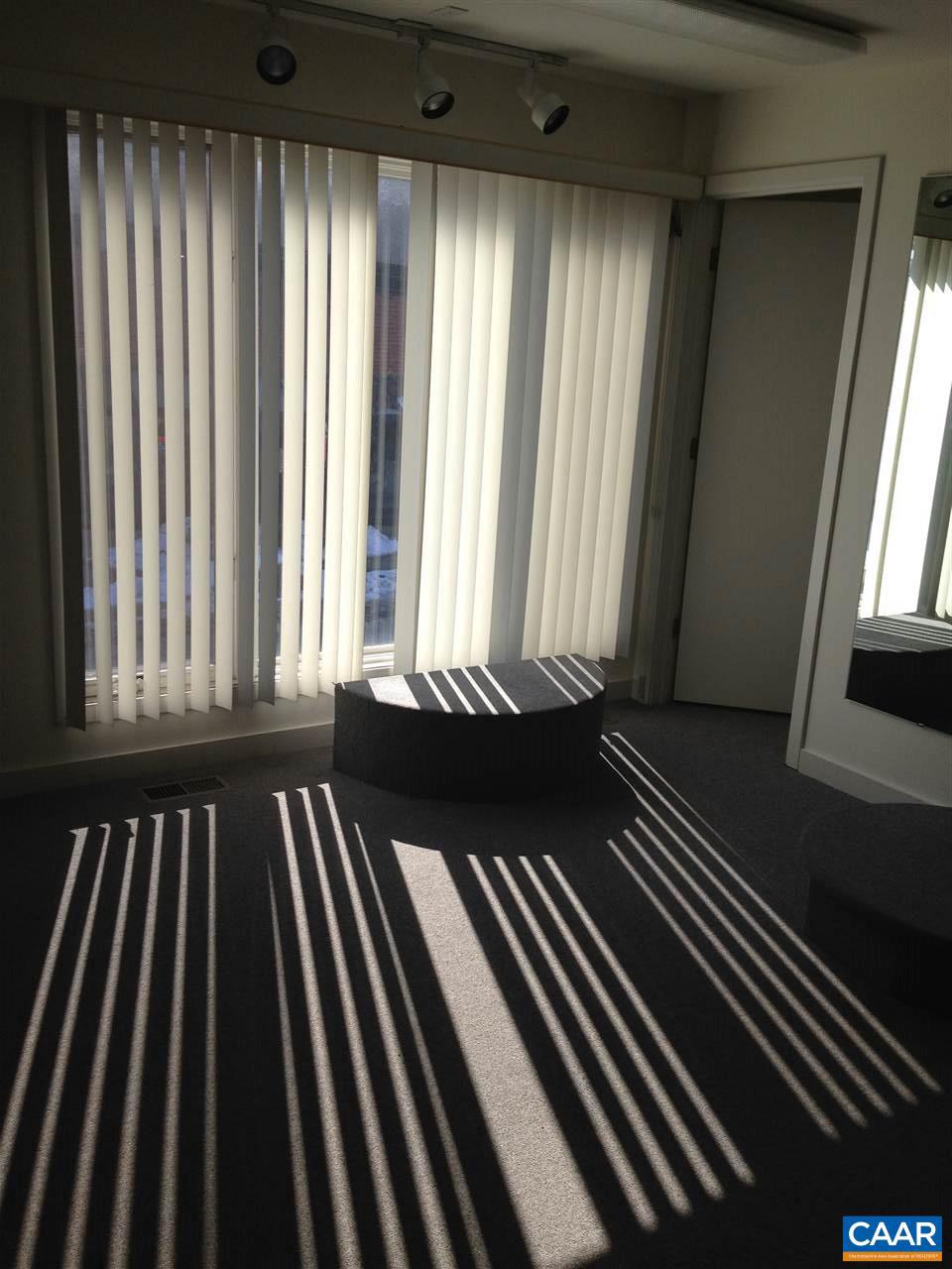 1311 Wertland Street, Unit C Charlottesville, VA 22903 - Photo 3 of 6