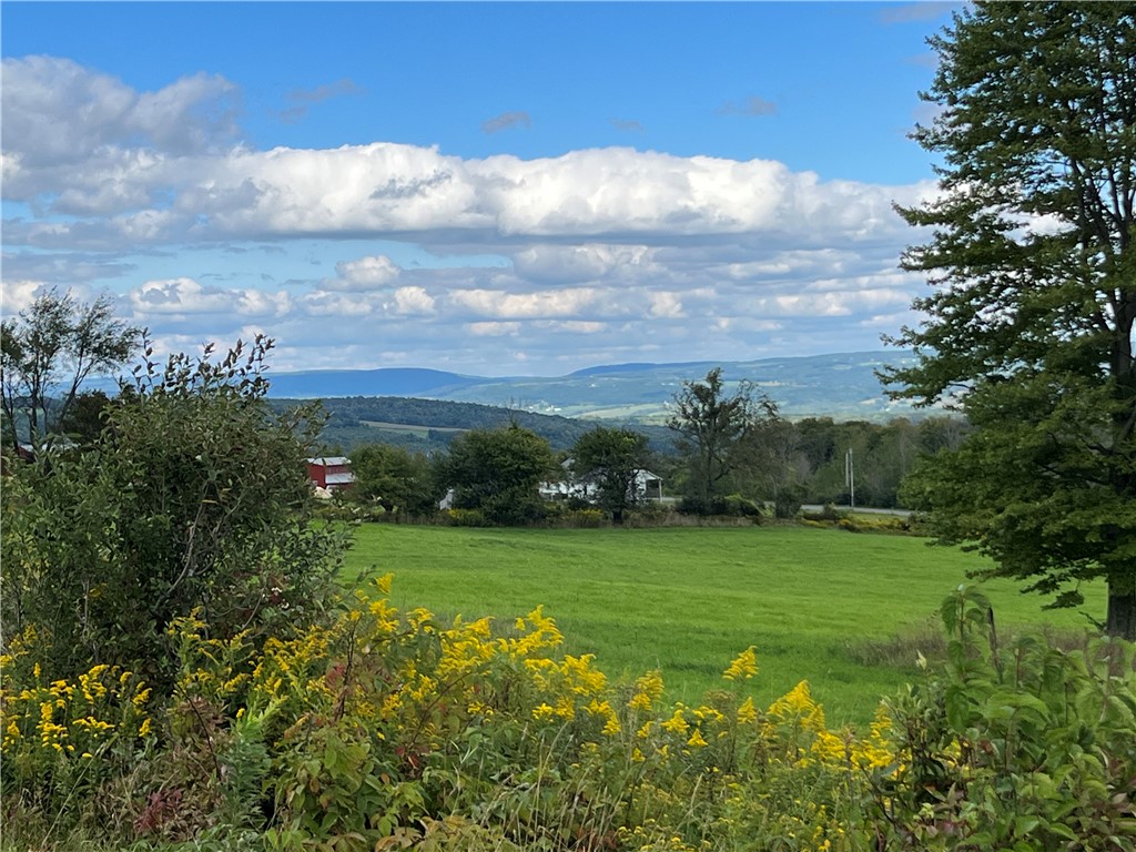 Lot 32 Demunn Road Beaver Dams, NY 14812 - Photo 1 of 1 Gallery Image 1