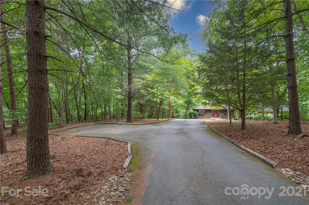 355 Winterset Trail Tryon, NC 28782 - Photo 2 of 22 a view of a yard with plants and trees