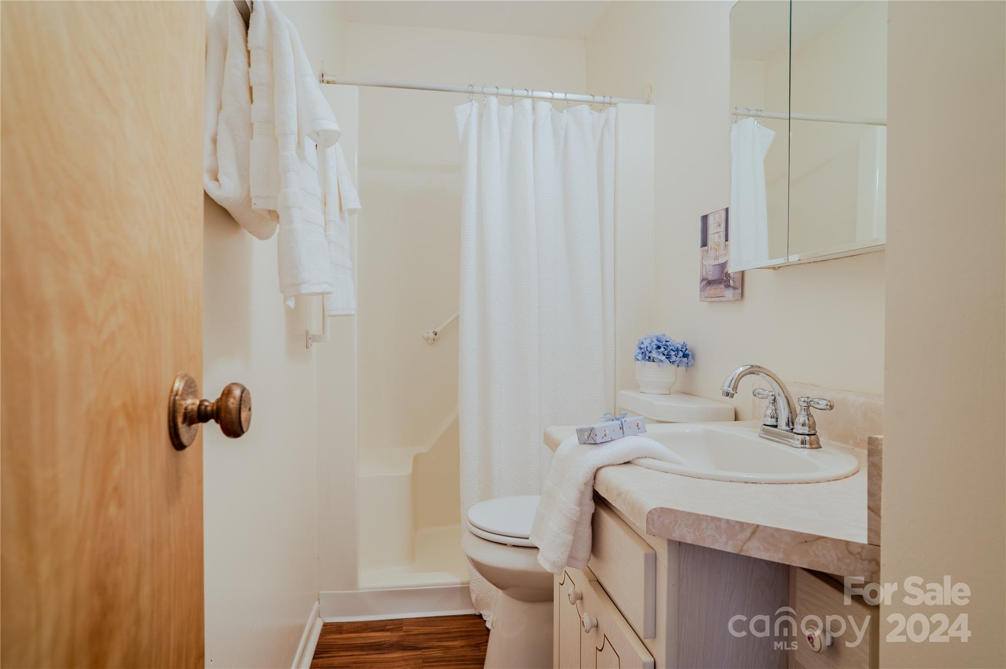 100 Falling Waters Road Hendersonville, NC 28792 - Photo 15 of 30 Gallery Image 15