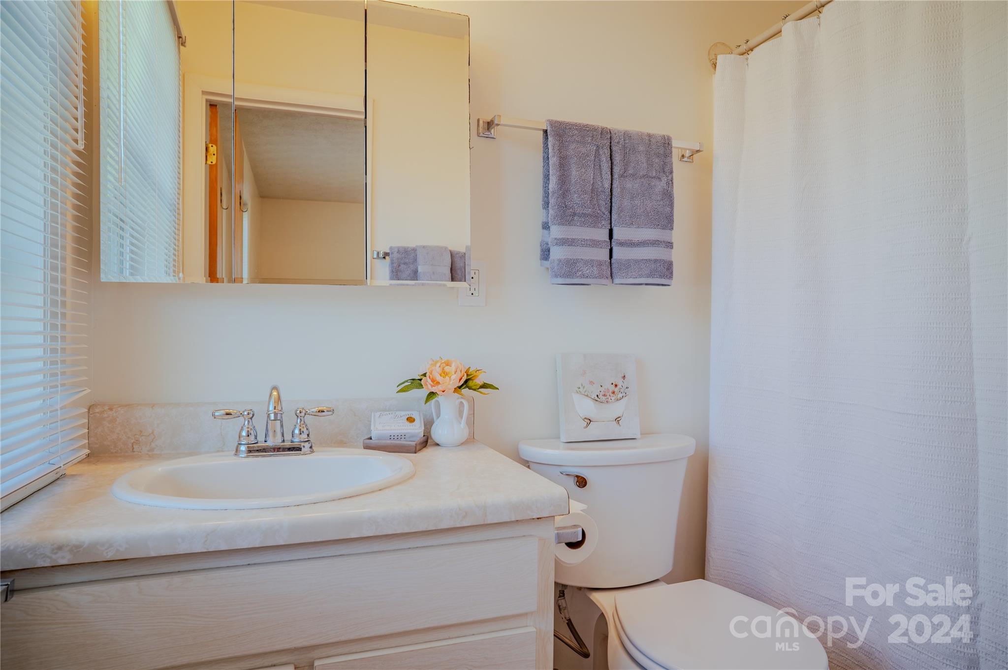 100 Falling Waters Road Hendersonville, NC 28792 - Photo 19 of 30 Gallery Image 19