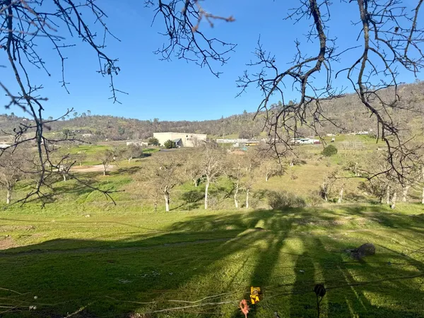 a view of a field with an trees