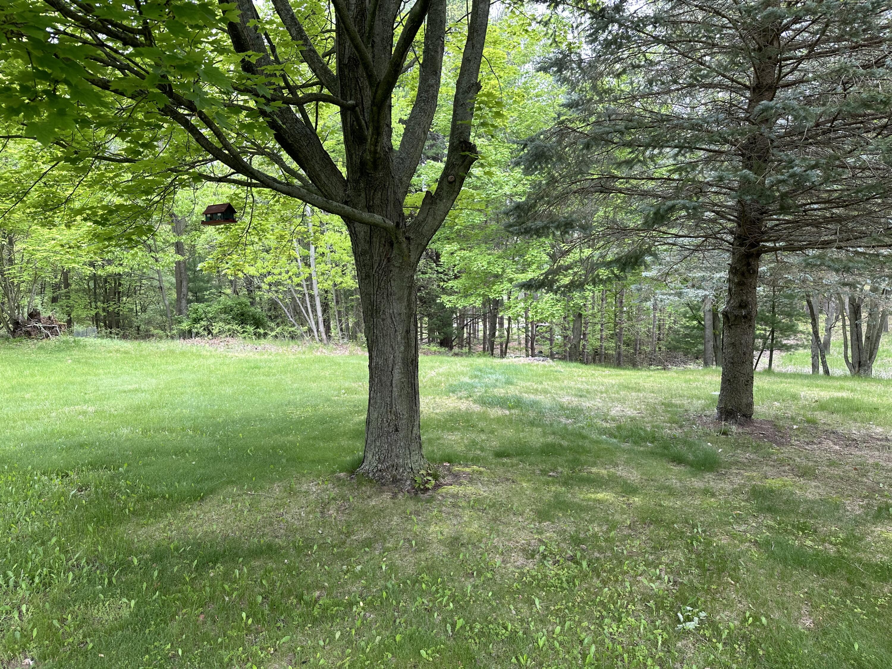 6835 West Deer Road Mears, MI 49436 - Photo 13 of 58 IMG_6954