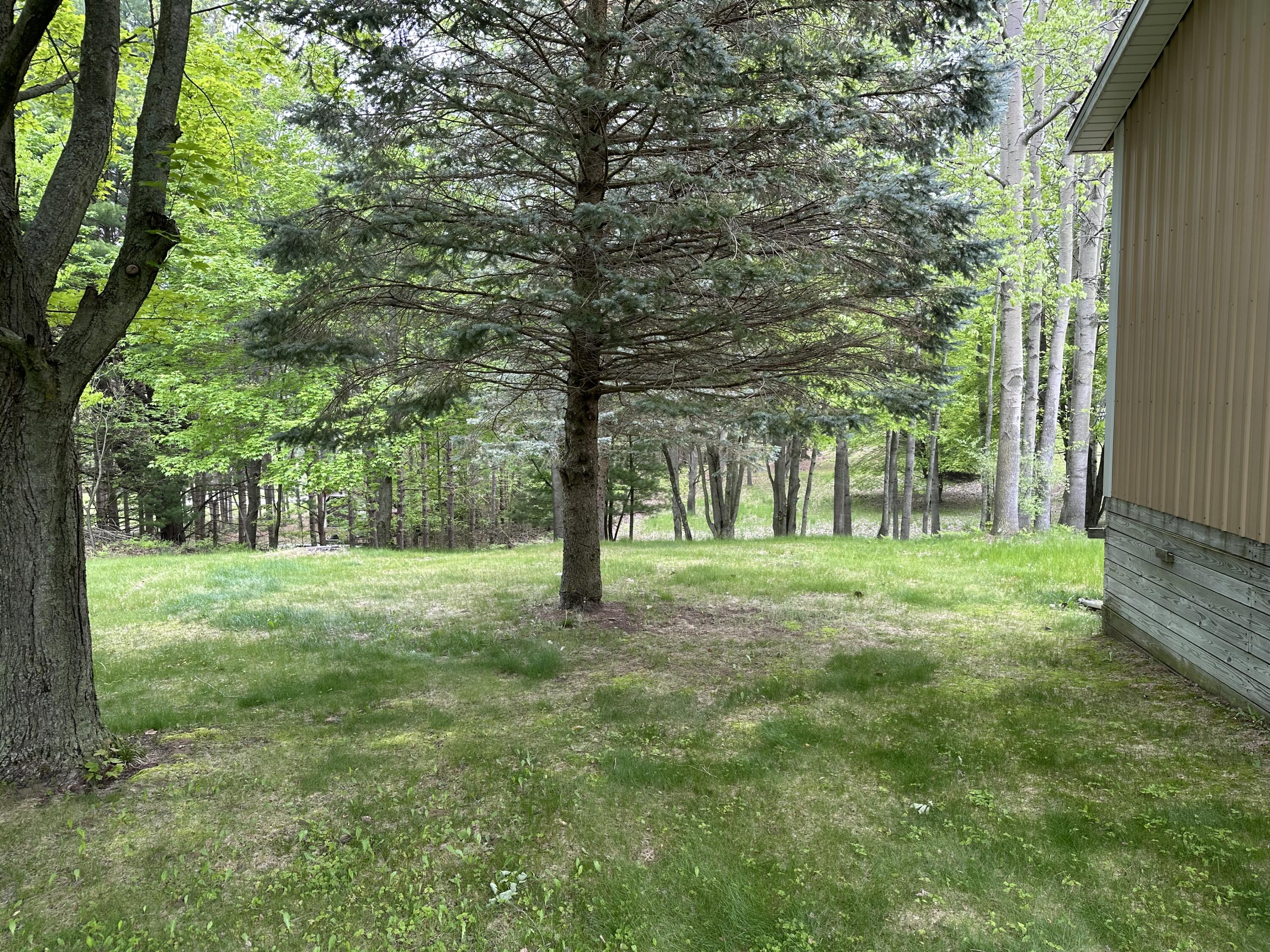 6835 West Deer Road Mears, MI 49436 - Photo 14 of 58 IMG_6953