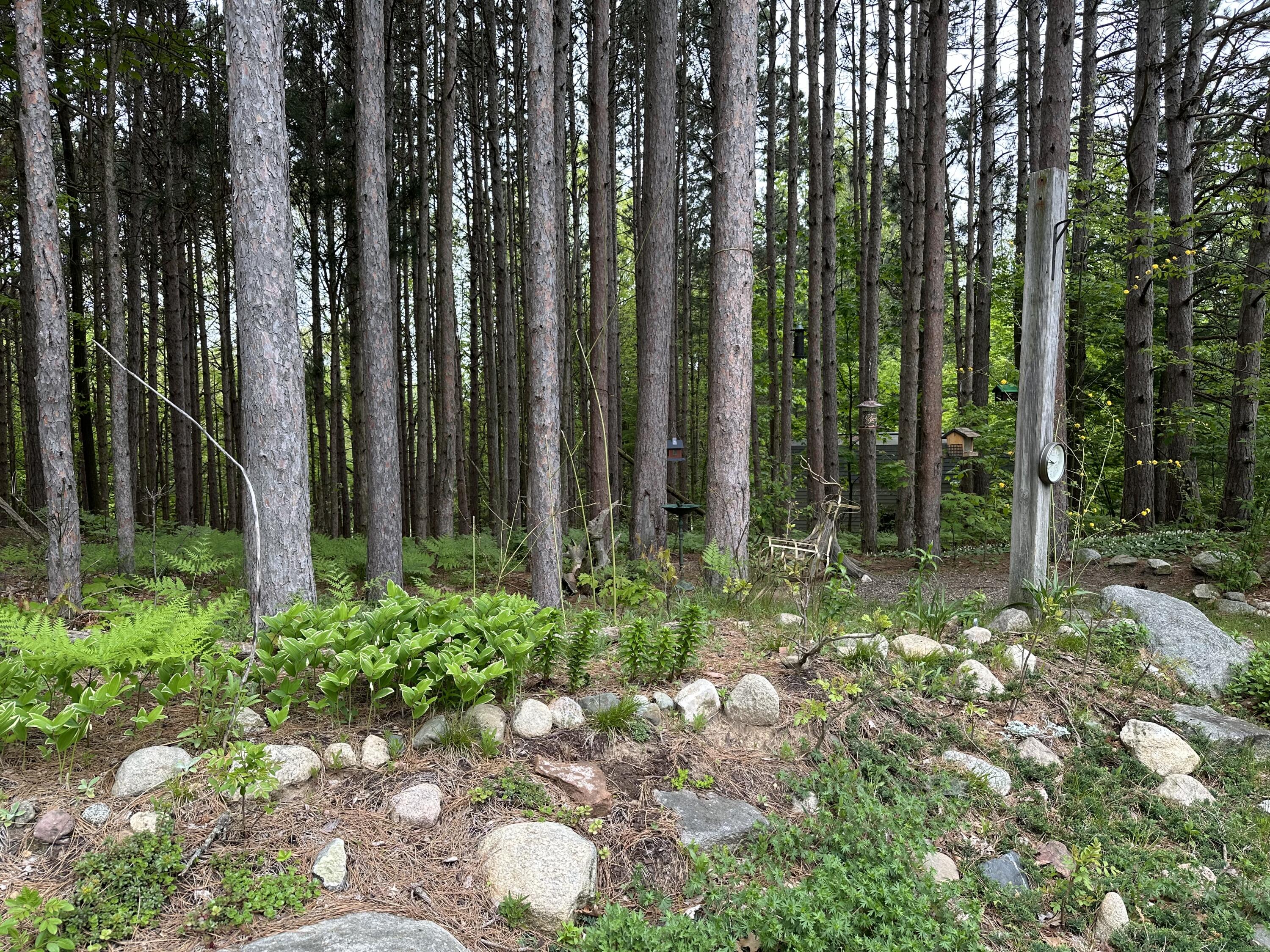 6835 West Deer Road Mears, MI 49436 - Photo 49 of 58 IMG_6932