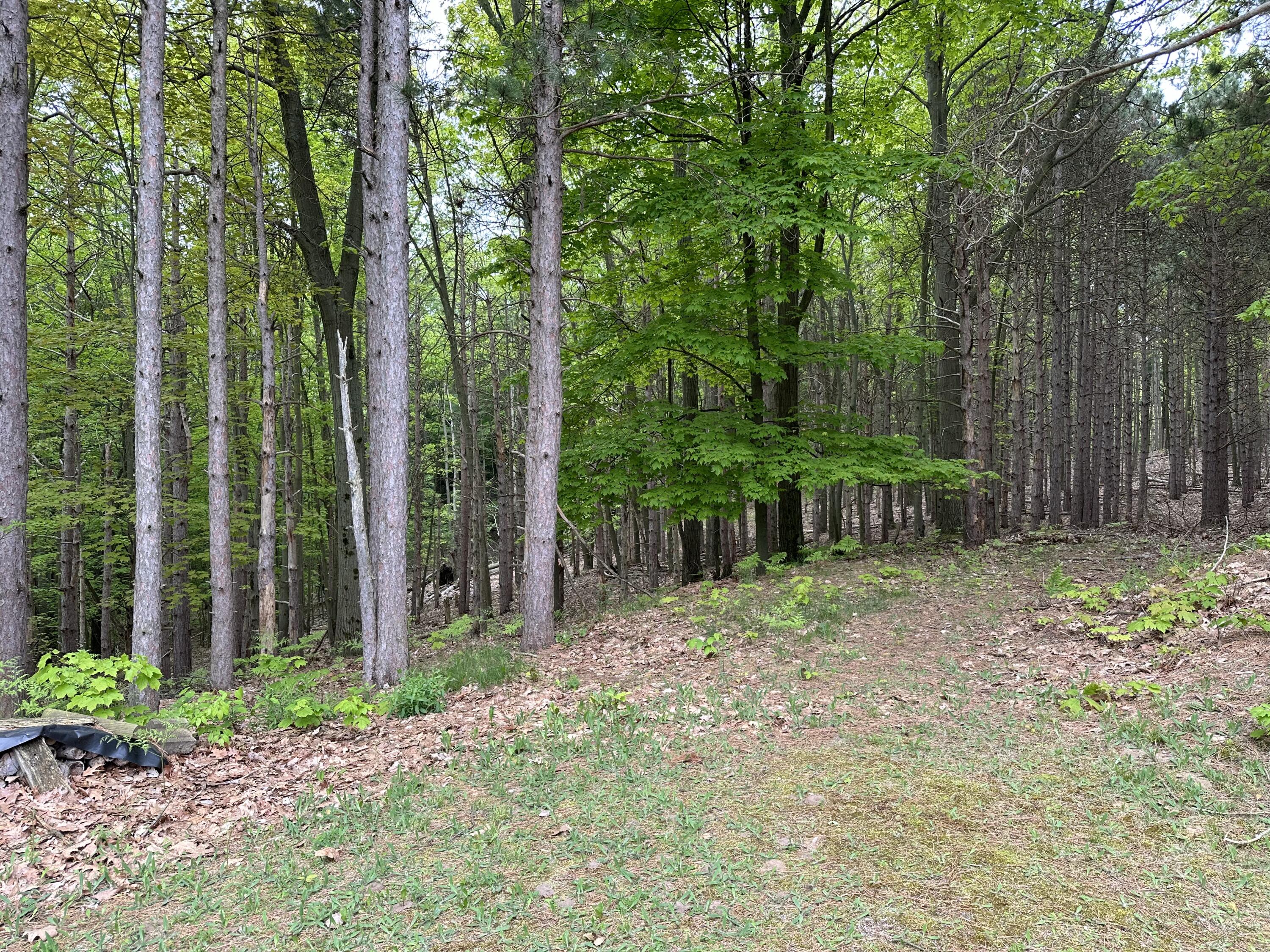 6835 West Deer Road Mears, MI 49436 - Photo 50 of 58 IMG_6929