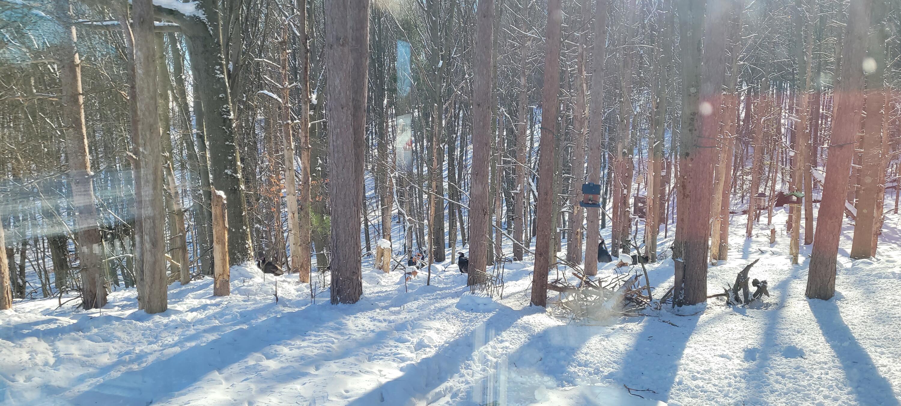 6835 West Deer Road Mears, MI 49436 - Photo 51 of 58 20260206_151242