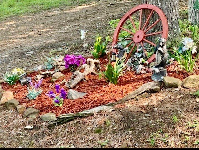 30 Zoe Hl Drive Murphy, NC 28906 - Photo 6 of 41 a picture of flowers