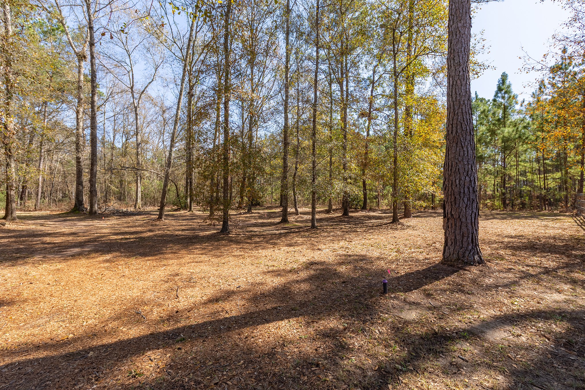 27688 Rio Blanco Drive Splendora, TX 77372 - Photo 46 of 50