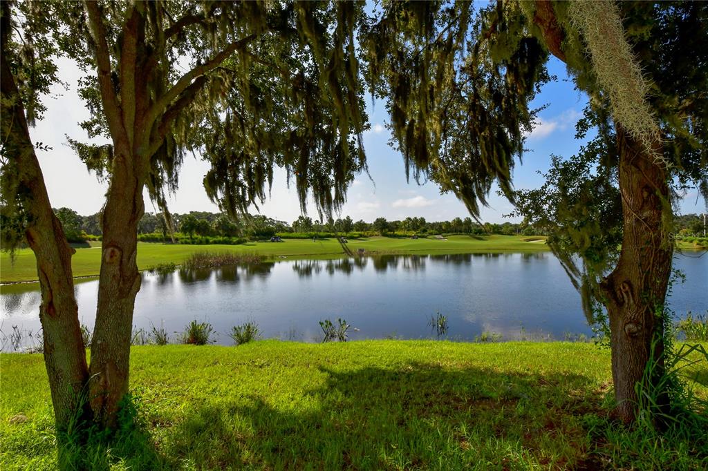 13732 Messina Loop, Unit 201 Bradenton, FL 34211 - Photo 41 of 76